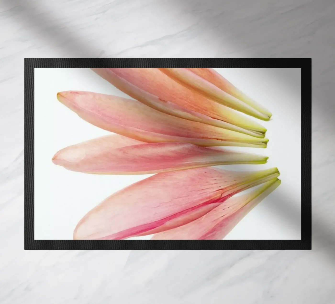 Lillyleaves zerbino da Curious Collections by Marielle Leenders