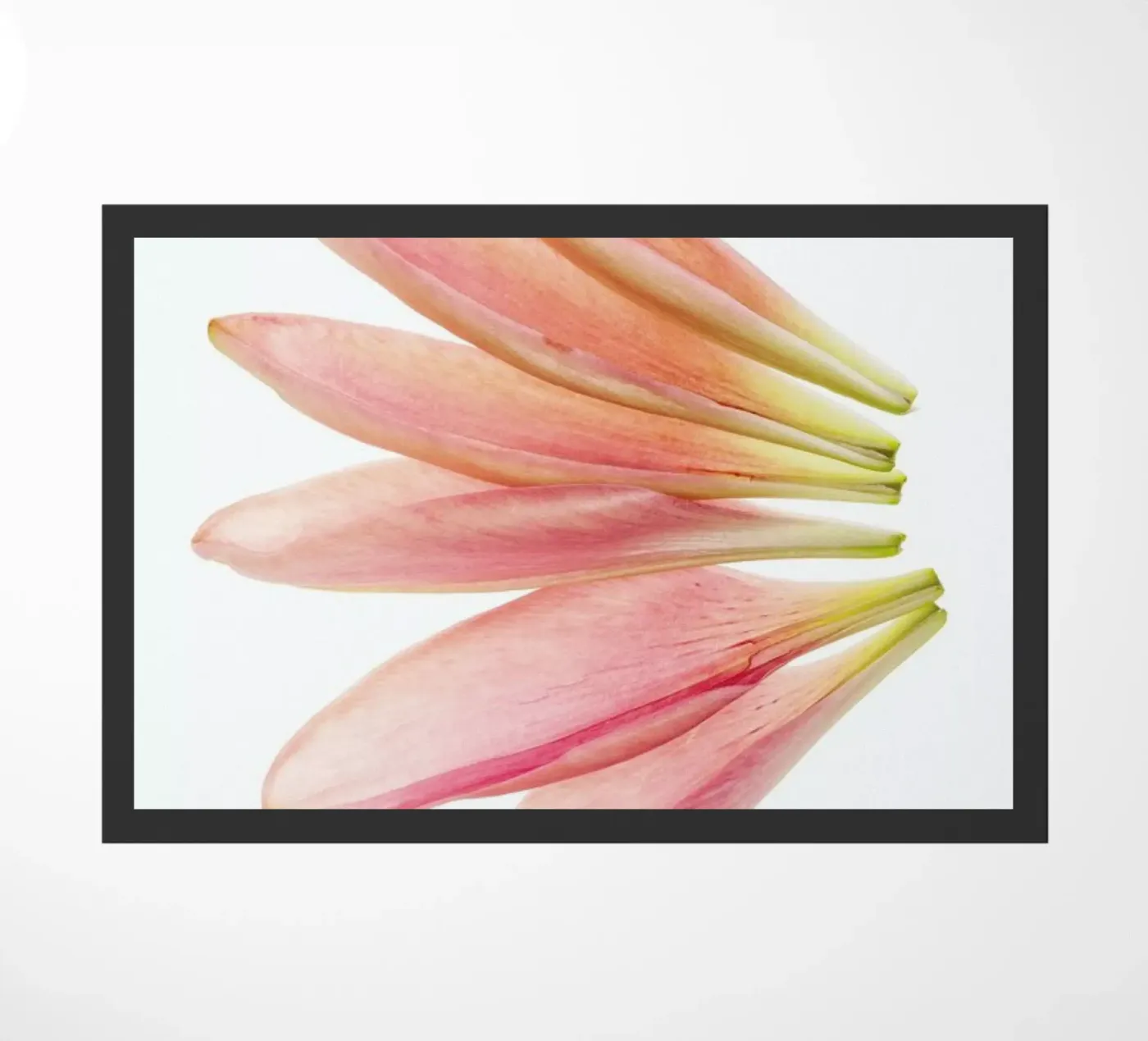 Lillyleaves zerbino da Curious Collections by Marielle Leenders