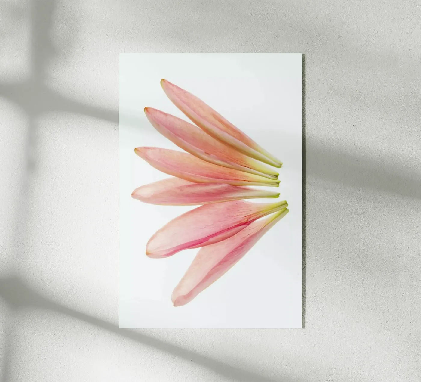 Lillyleaves plexiglass da Curious Collections by Marielle Leenders