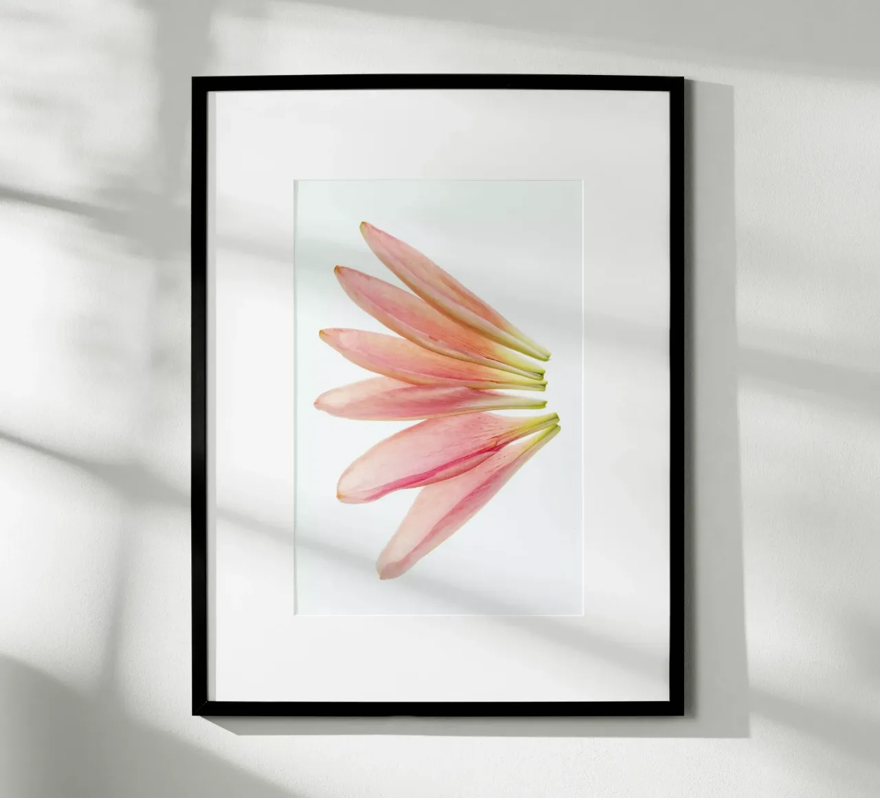 Lillyleaves poster da Curious Collections by Marielle Leenders