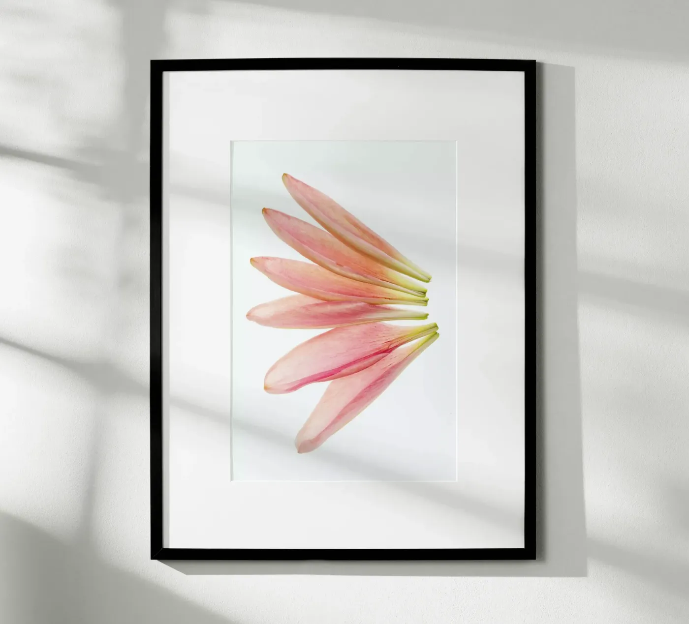 Lillyleaves poster da Curious Collections by Marielle Leenders