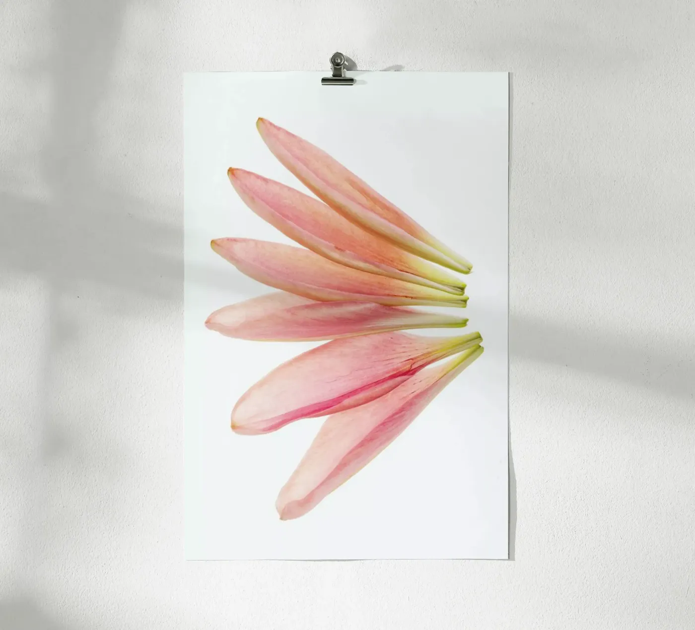 Lillyleaves poster da Curious Collections by Marielle Leenders