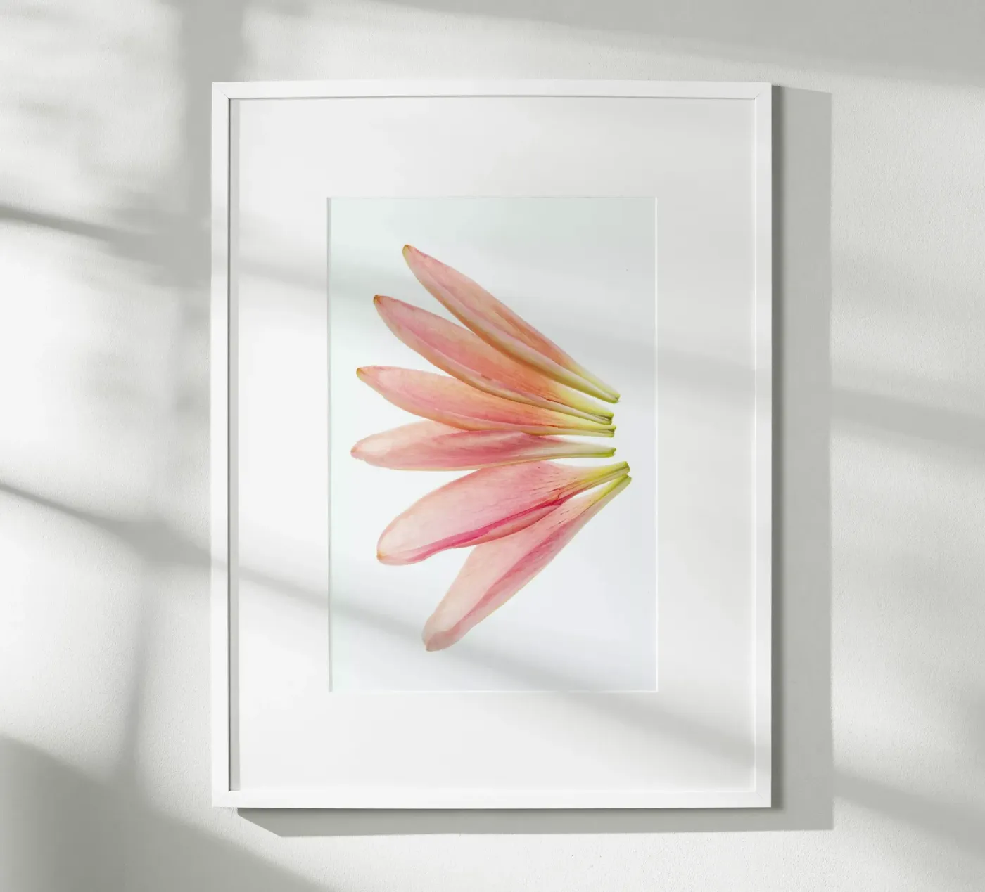 Lillyleaves poster da Curious Collections by Marielle Leenders