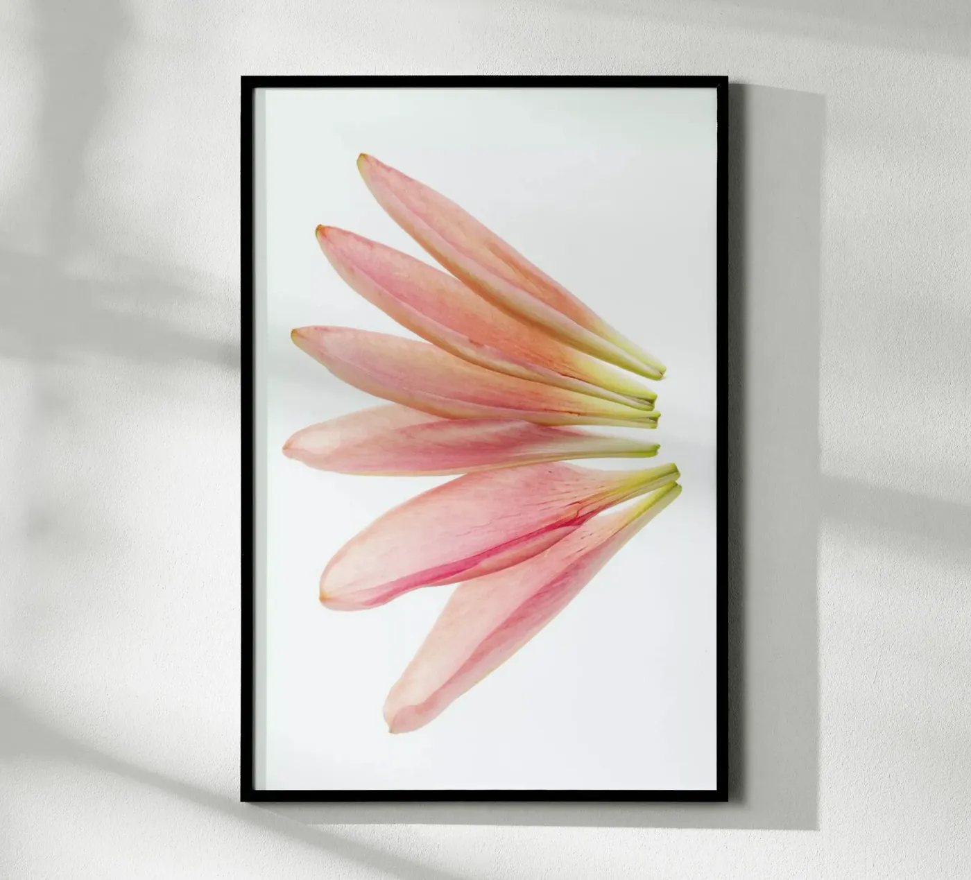 Lillyleaves poster da Curious Collections by Marielle Leenders