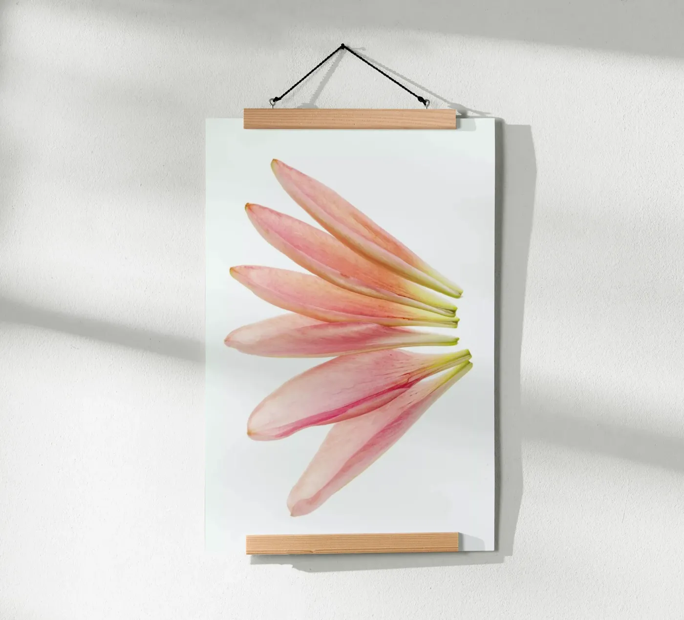 Lillyleaves poster da Curious Collections by Marielle Leenders