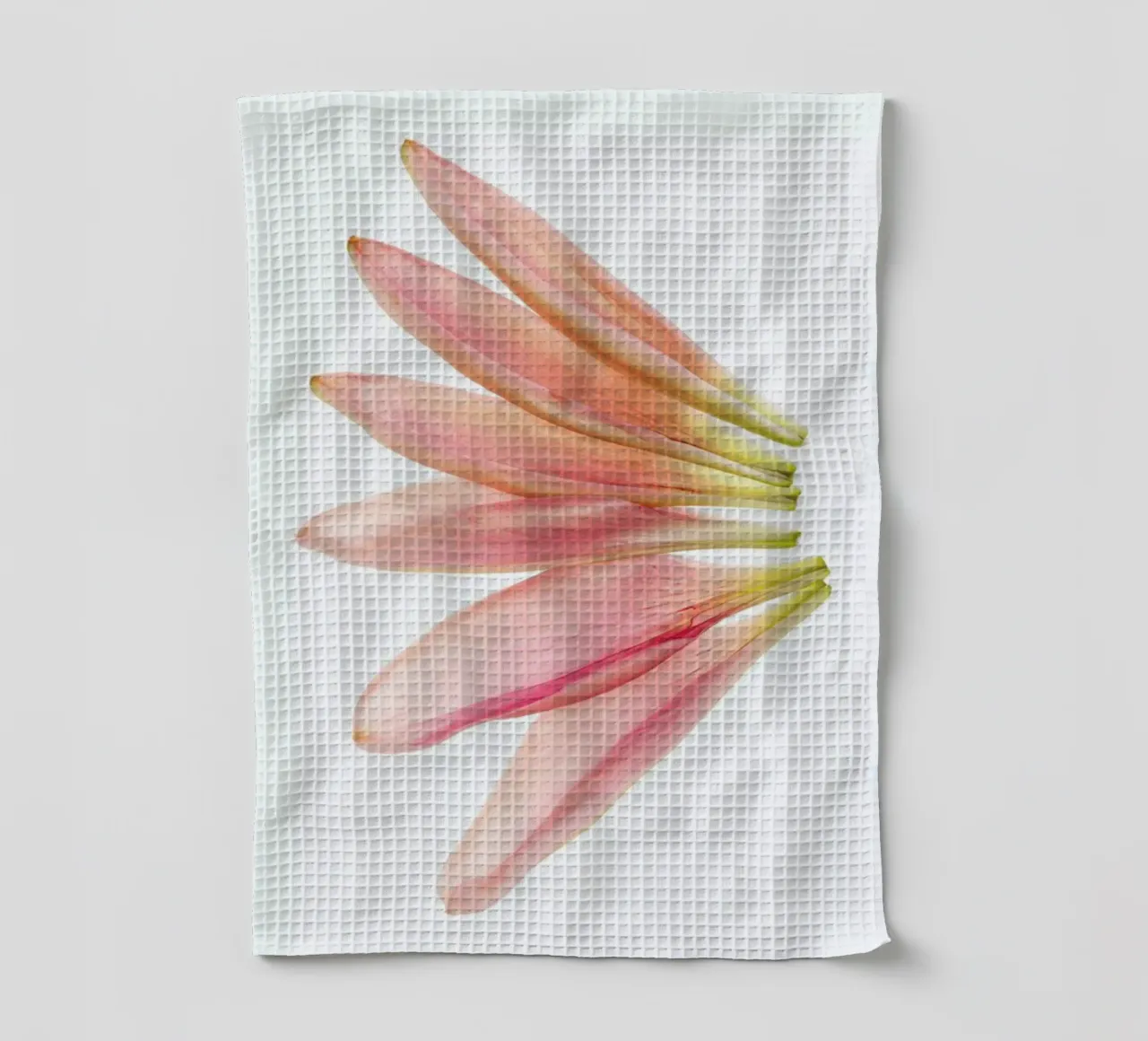 Lillyleaves canovaccio da cucina da Curious Collections by Marielle Leenders