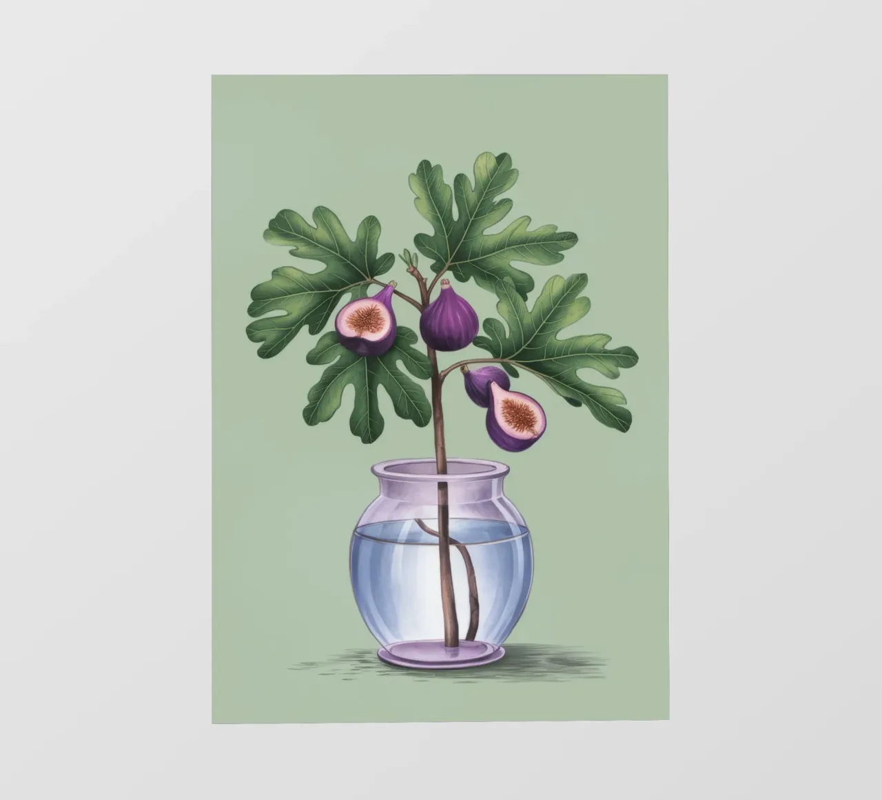 Pianta di fico in vaso telo in pvc da Demar Galleria