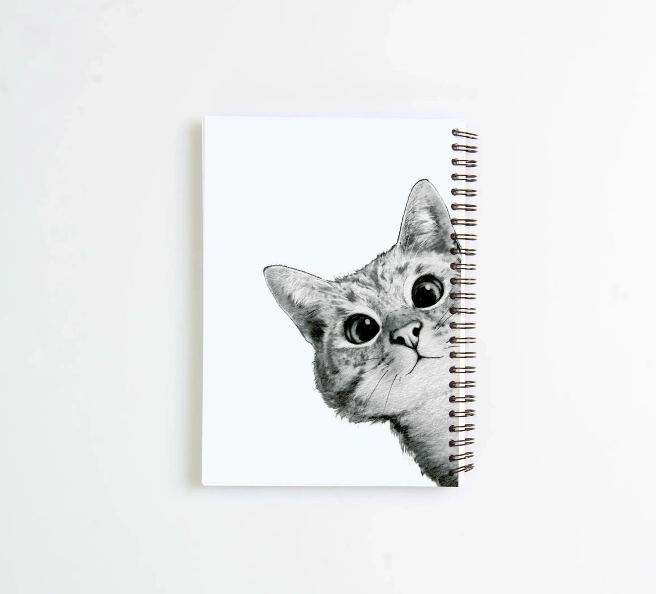 Sneaky Cat Ringbuch von Laura Graves