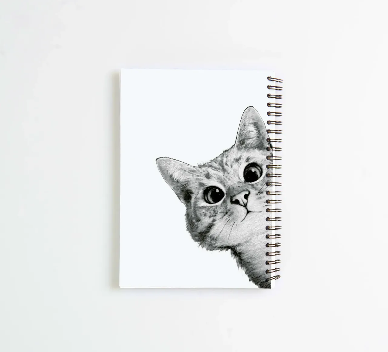 Sneaky Cat diario ad anelli da Laura Graves