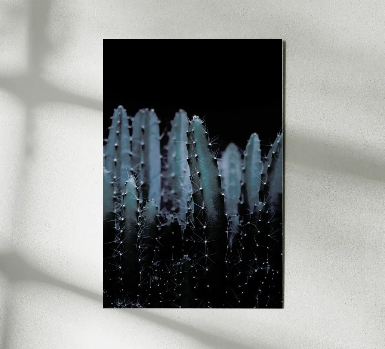 Piante scure 2 Cactus alluminio dibond da Monika Strigel