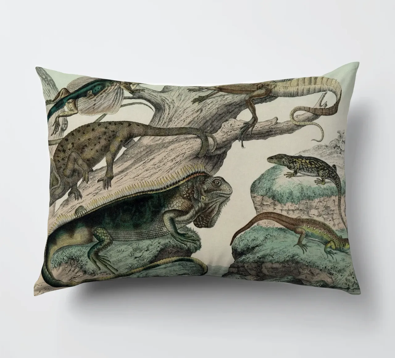 Vintage Schubert 1 Echsen 5 cuscino da Vintage Print Collection