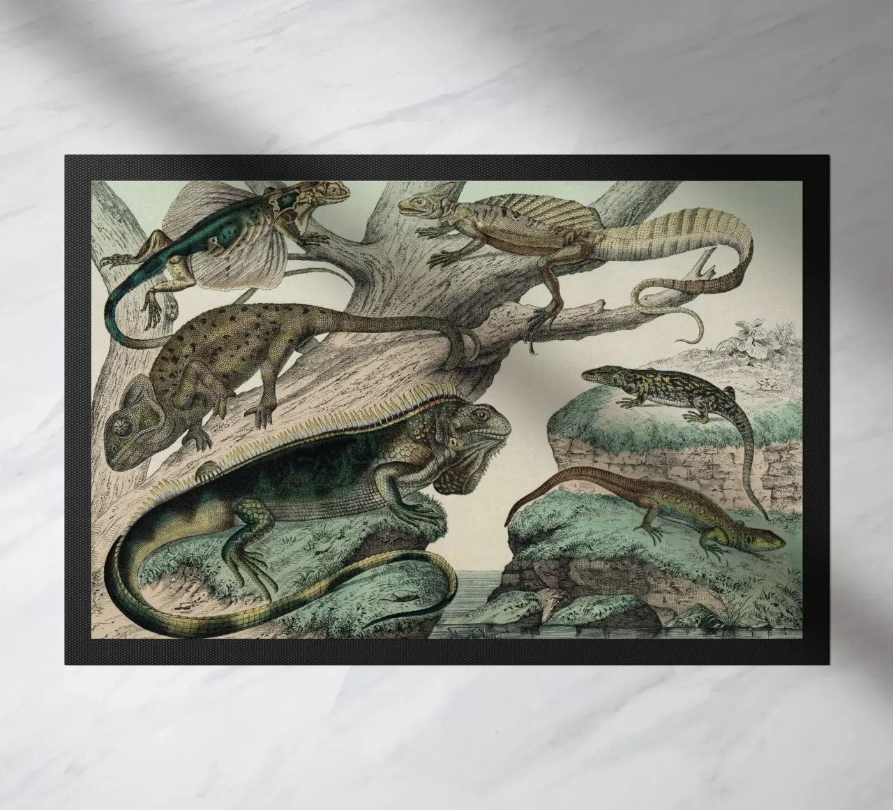 Vintage Schubert 1 Echsen 5 zerbino da Vintage Print Collection