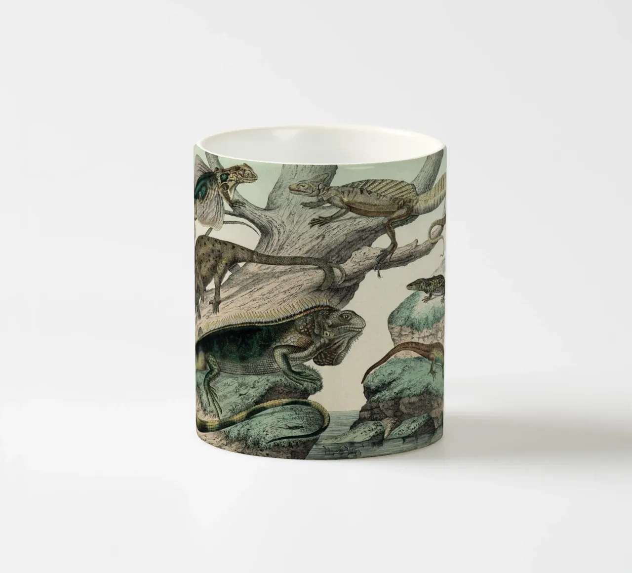 Vintage Schubert 1 Echsen 5 tazza in ceramica da Vintage Print Collection
