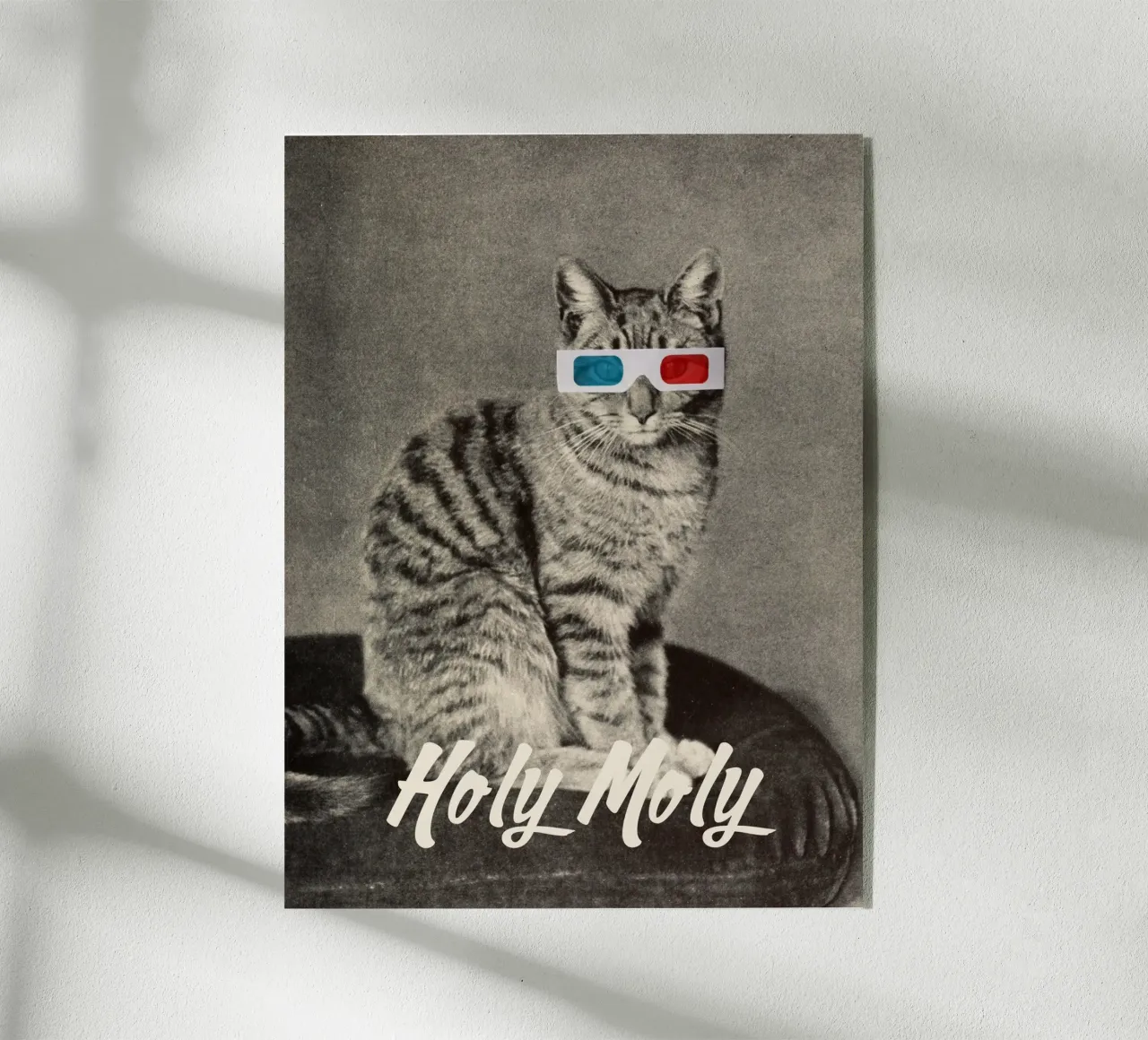 Holy Moly plexiglass da MsGonzalez