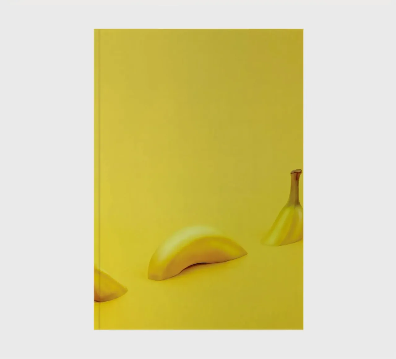 Loch Ness Banana notebook by Juj Winn