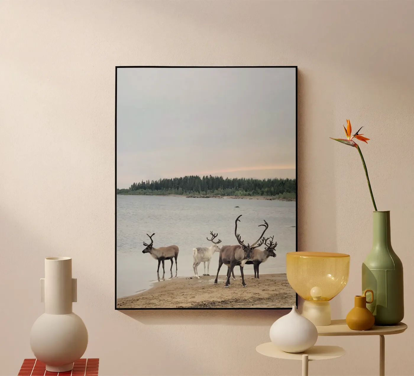 Reindeer plexiglass da SteffisNatursicht