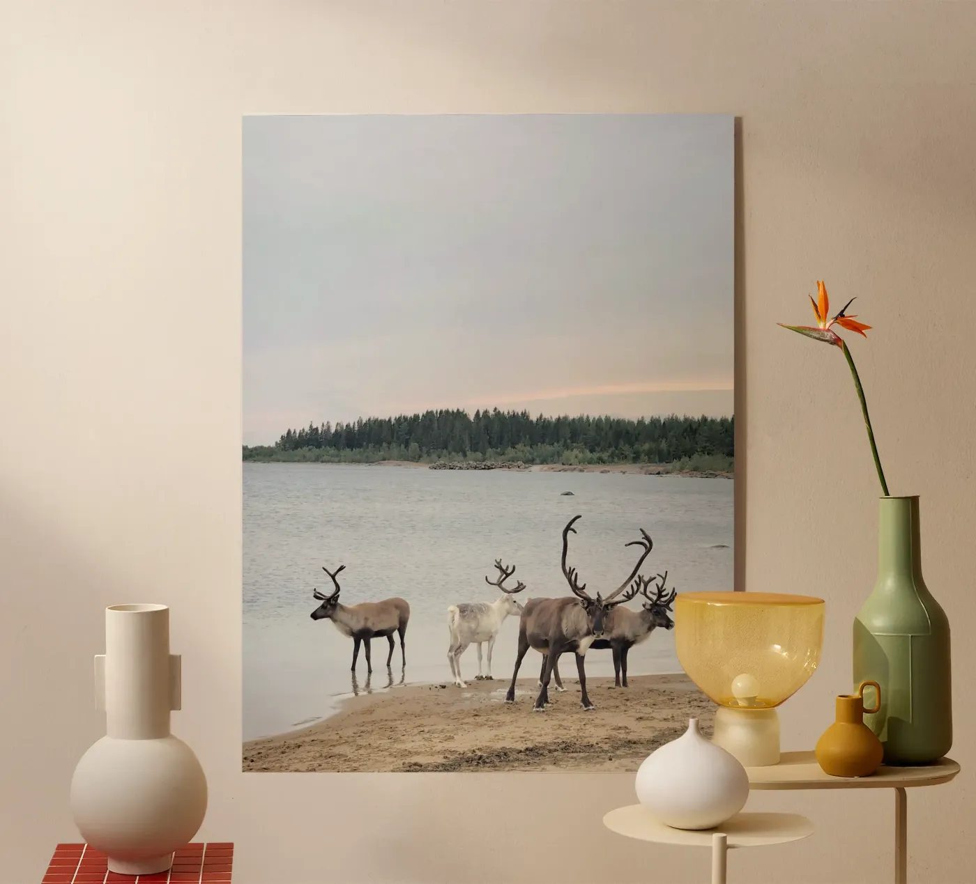 Reindeer plexiglass da SteffisNatursicht