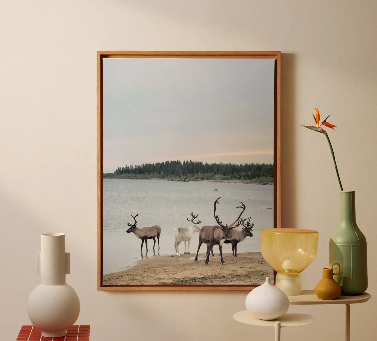 Reindeer canvas met Baklijst van SteffisNatursicht