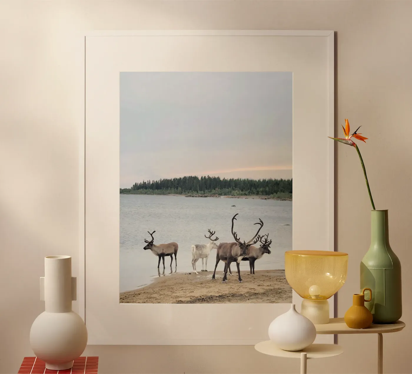 Renna poster da SteffisNatursicht