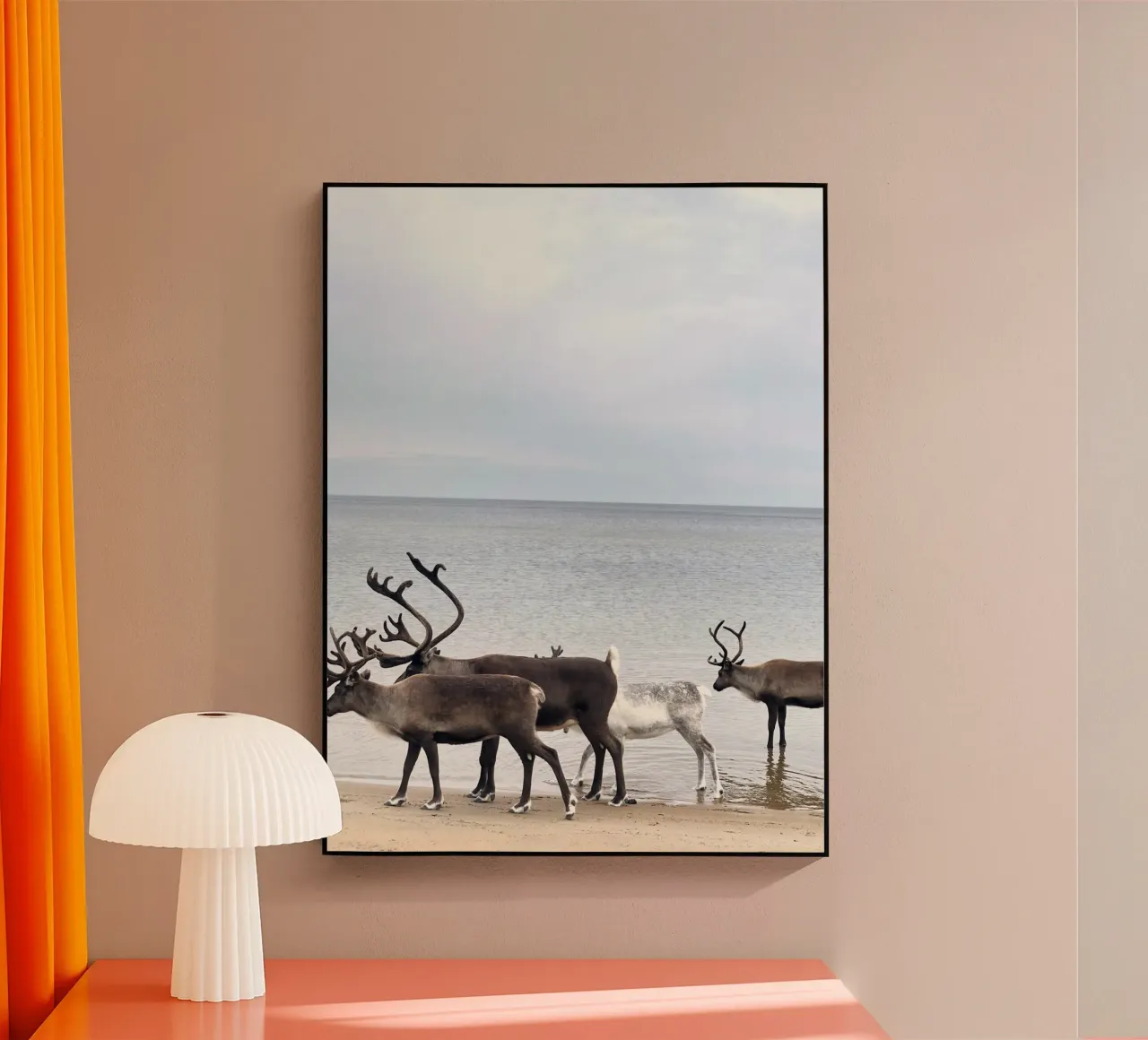 Renna plexiglass da SteffisNatursicht