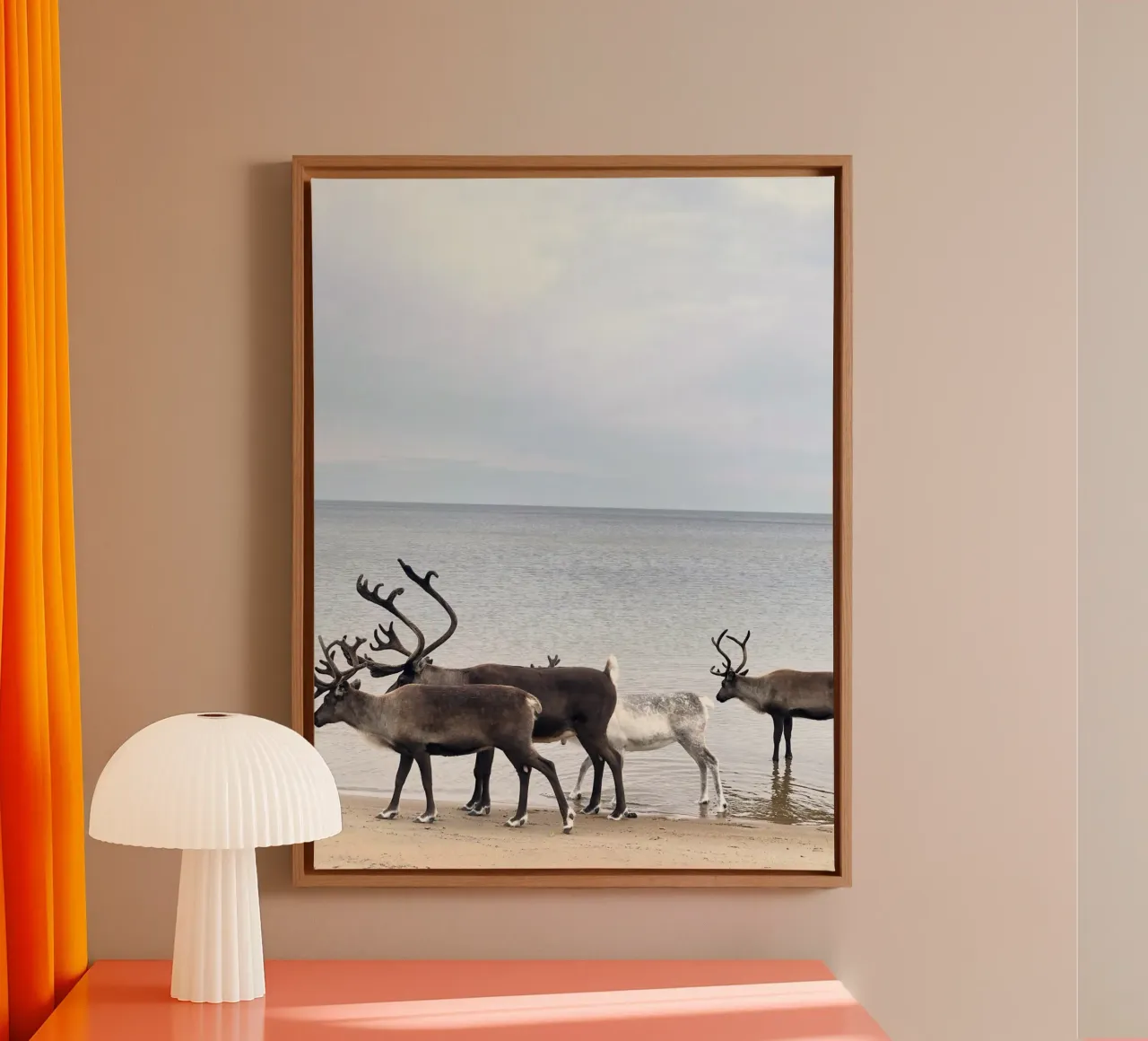 Reindeer canvas met Baklijst van SteffisNatursicht