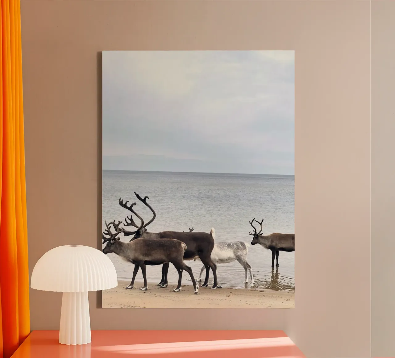 Reindeer canvas met Baklijst van SteffisNatursicht