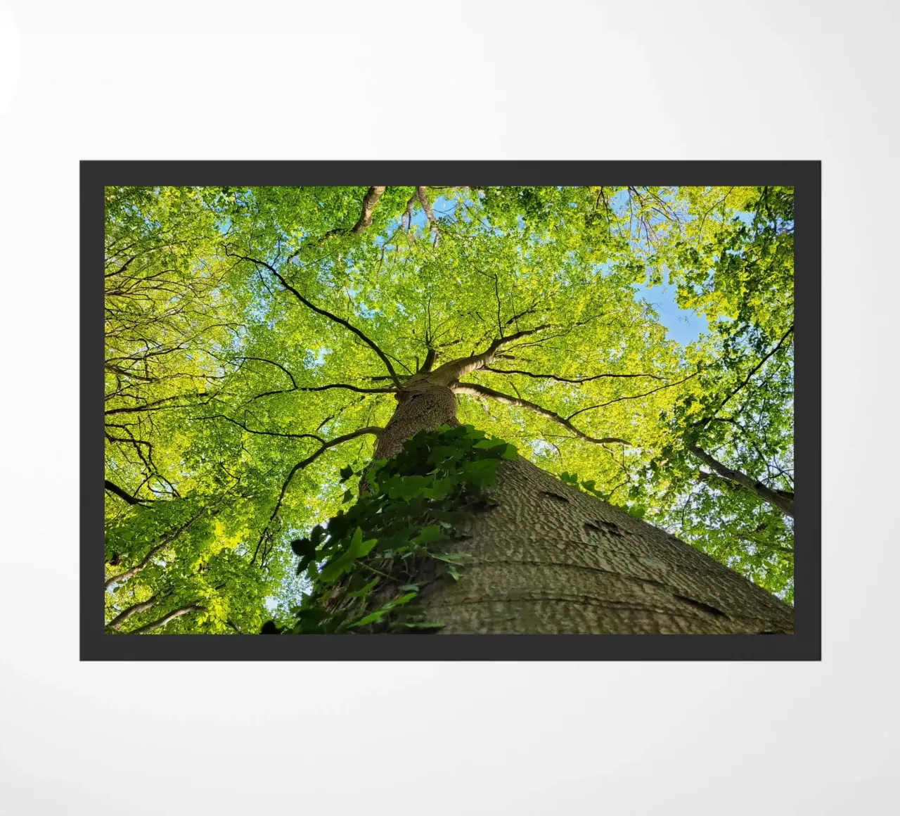 Arbre en forêt zerbino da Estelle Création