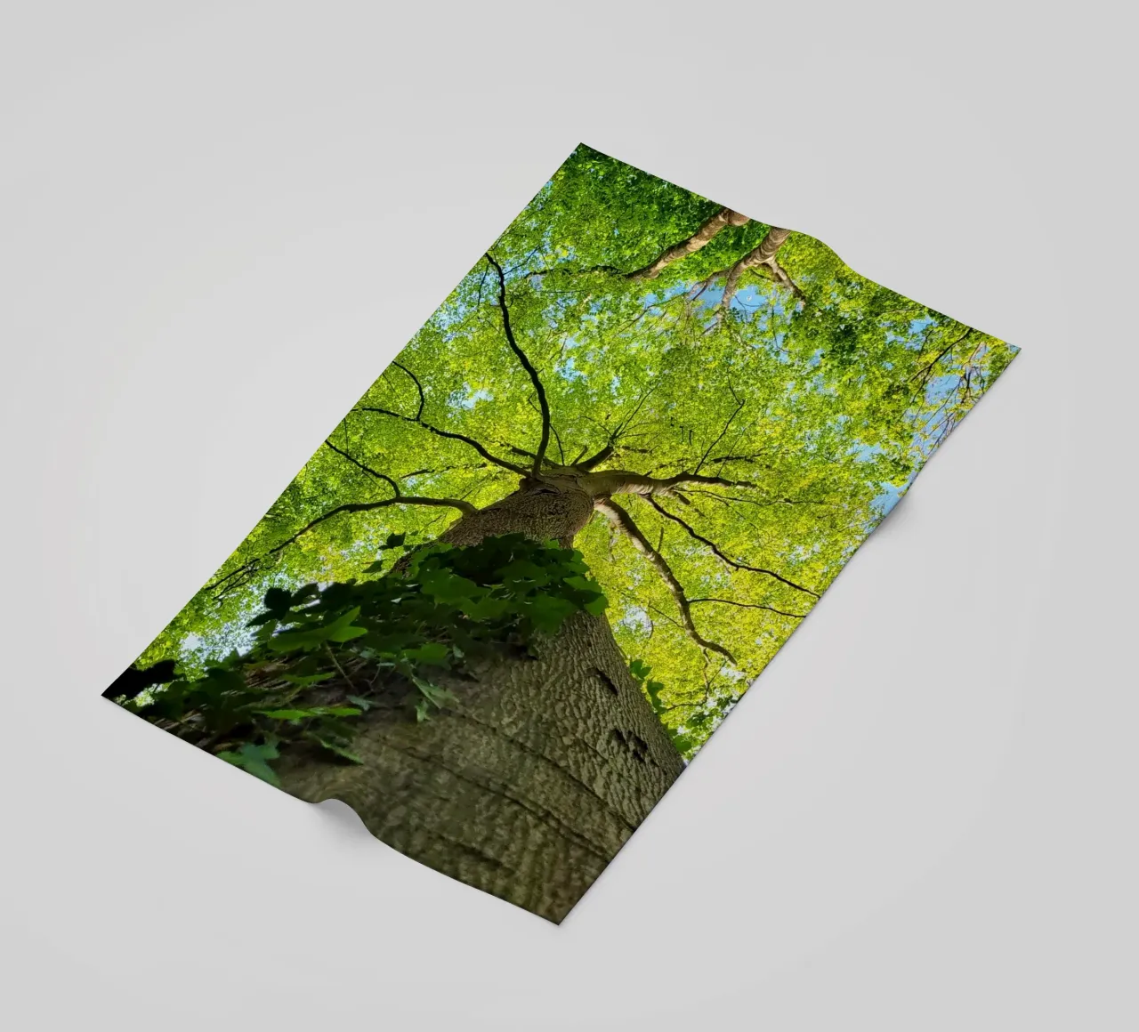 Arbre en forêt telo mare da Estelle Création