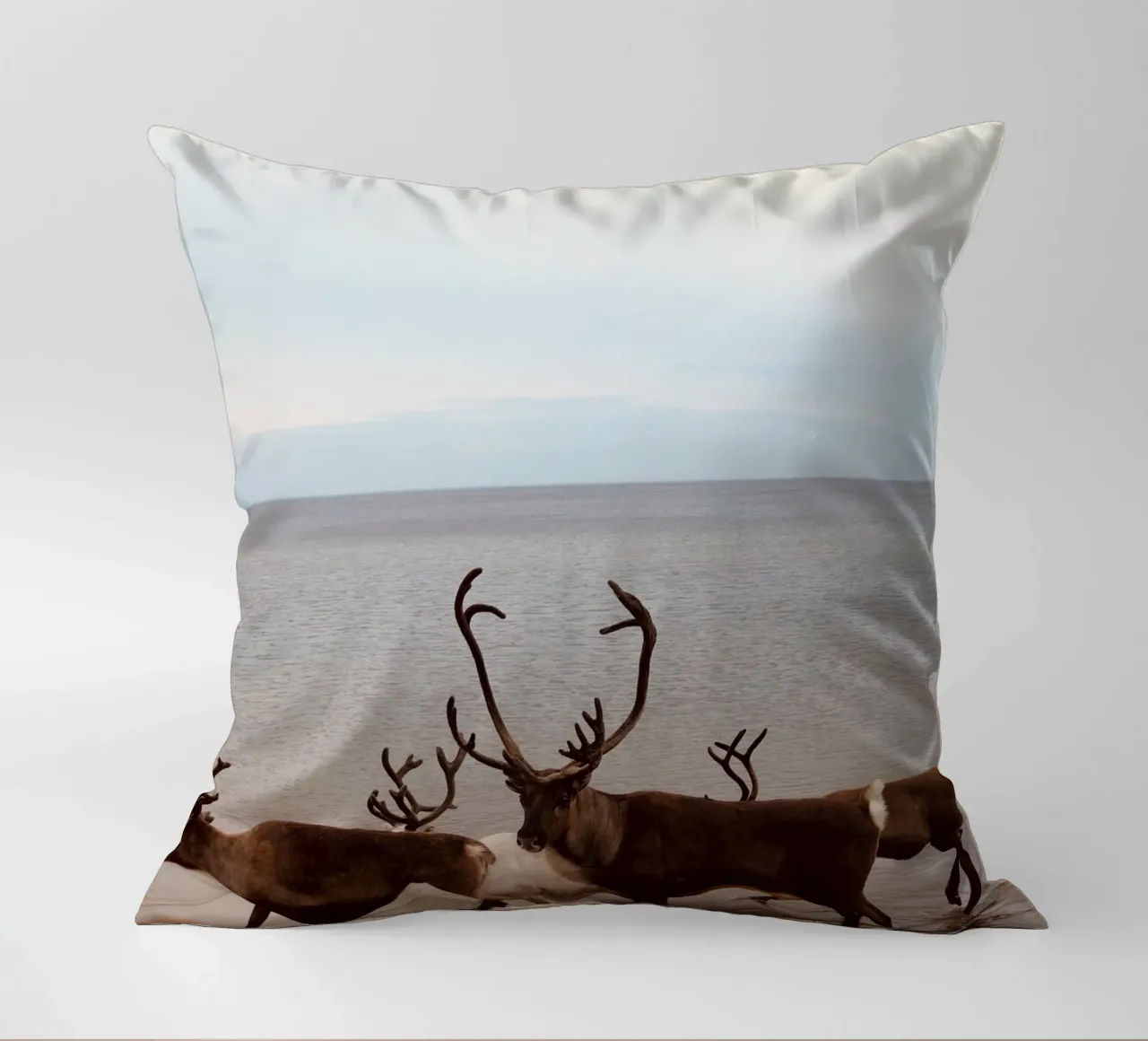 Reindeer cuscino da SteffisNatursicht