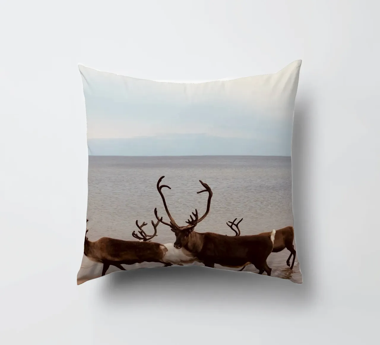 Reindeer cuscino da SteffisNatursicht