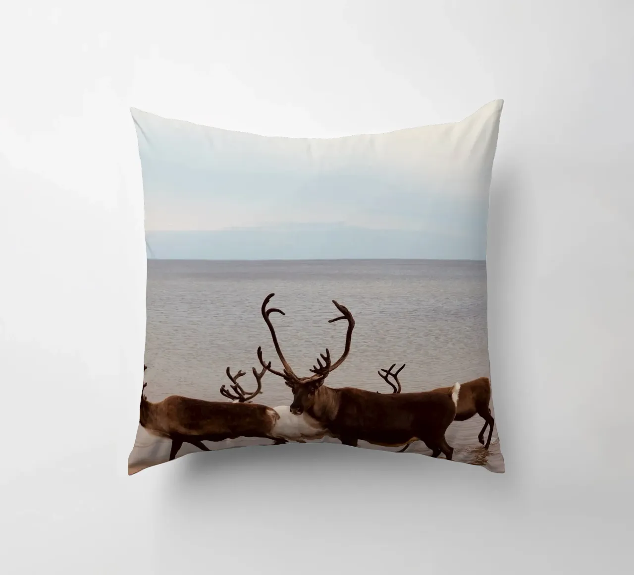 Reindeer cuscino da SteffisNatursicht