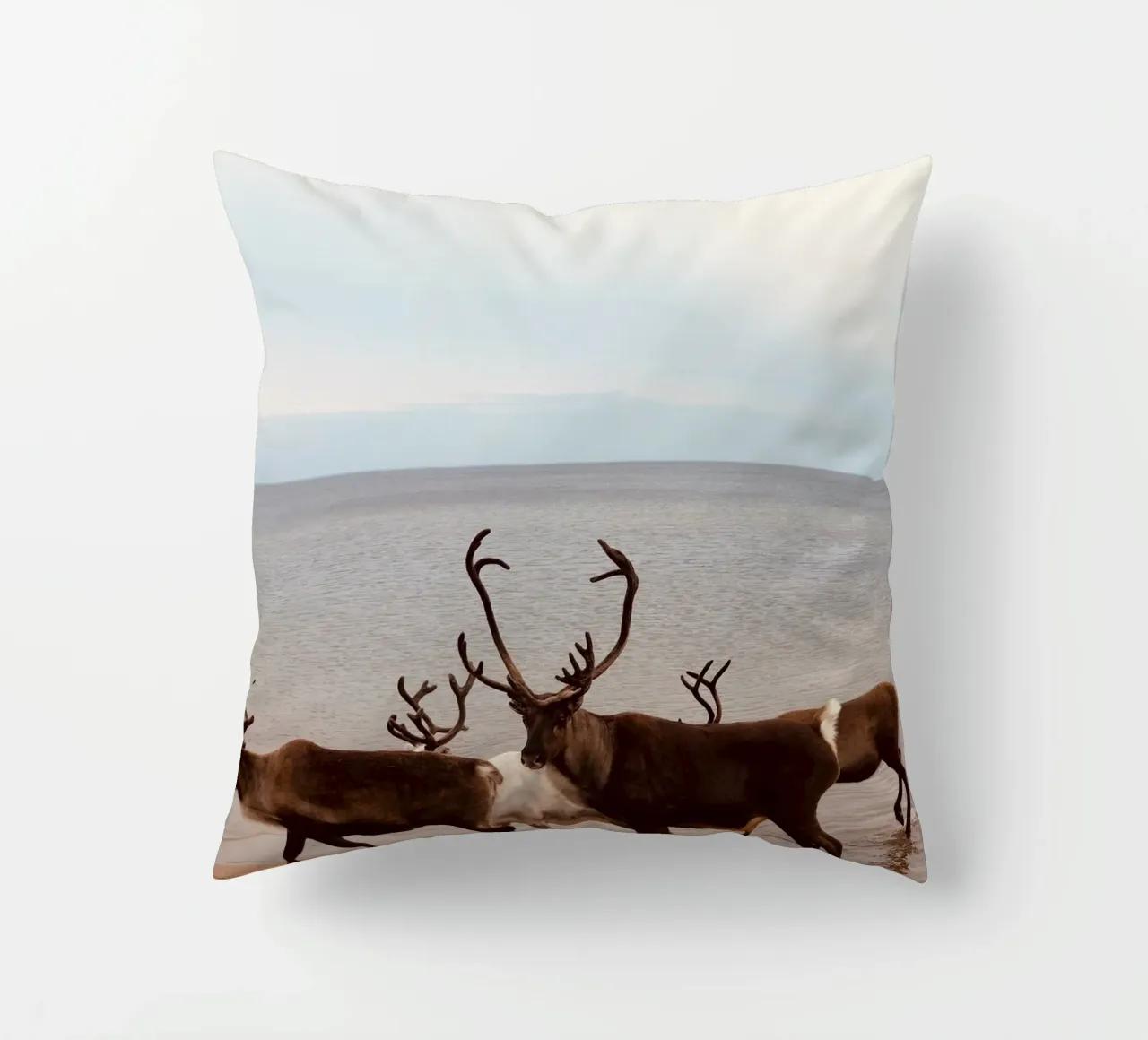 Reindeer cuscino da SteffisNatursicht