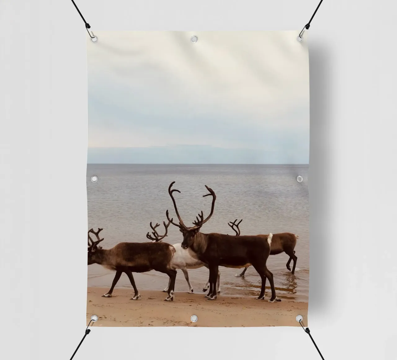 Reindeer telo in pvc da SteffisNatursicht
