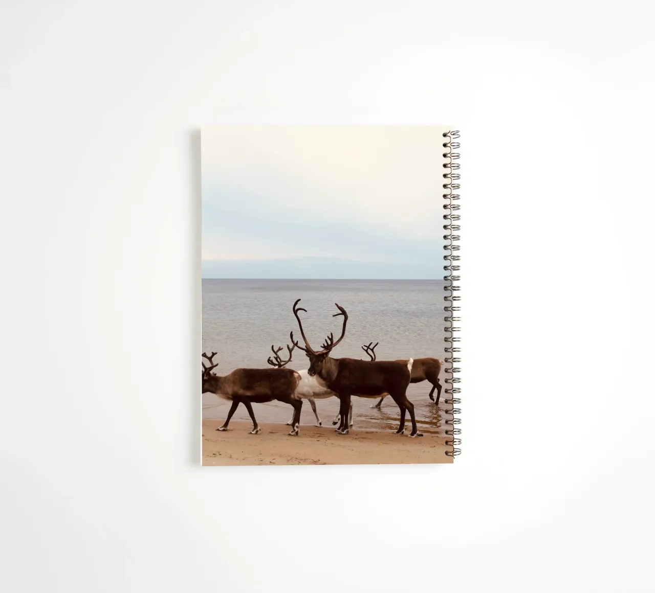 Reindeer spiral notebook by SteffisNatursicht