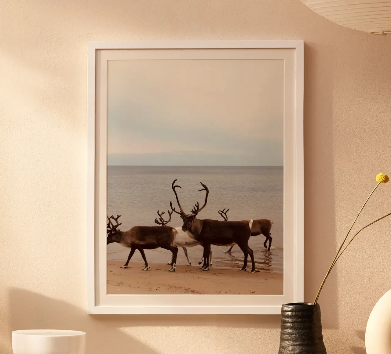 Reindeer poster by SteffisNatursicht