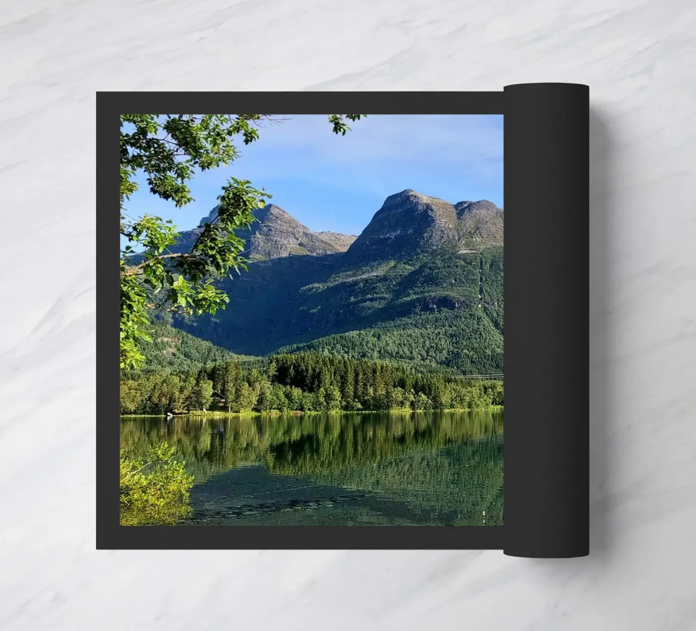 Lofoten zerbino da SteffisNatursicht