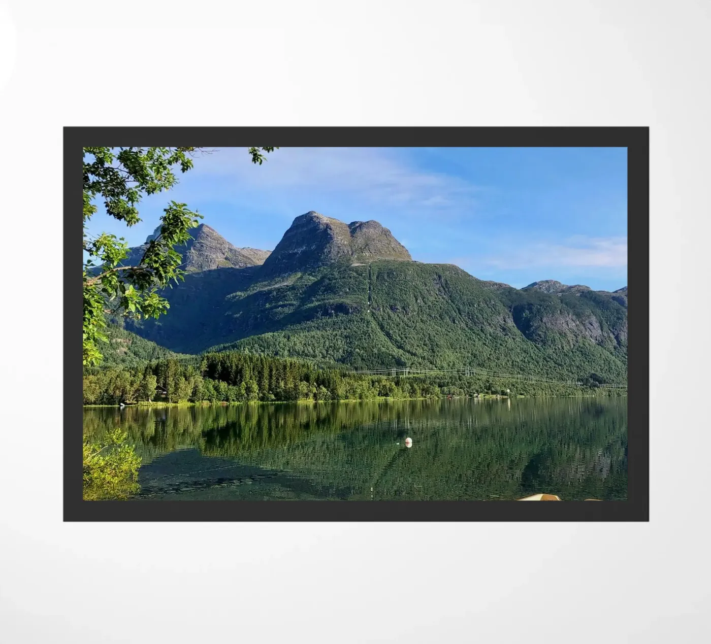 Lofoten zerbino da SteffisNatursicht