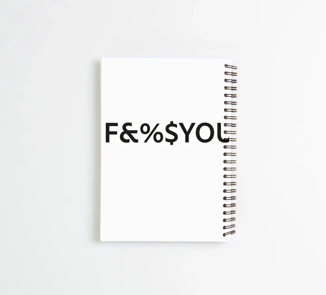 FCKYOU spiral notebook by Flo Klein