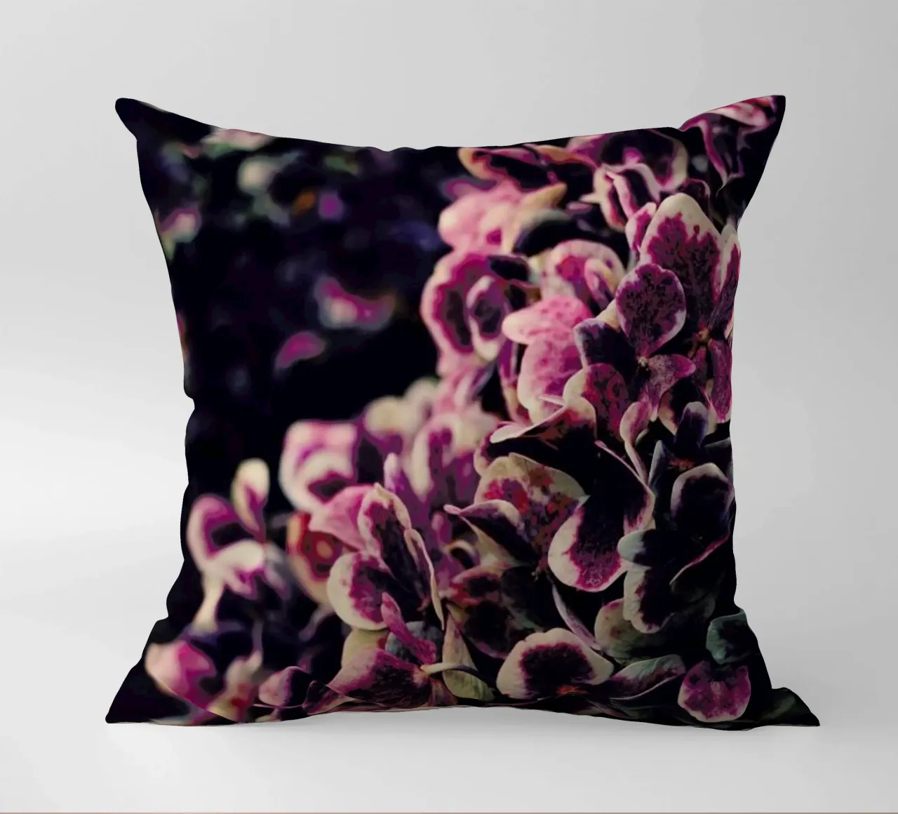 Deep Purple cuscino da Ingrid Beddoes