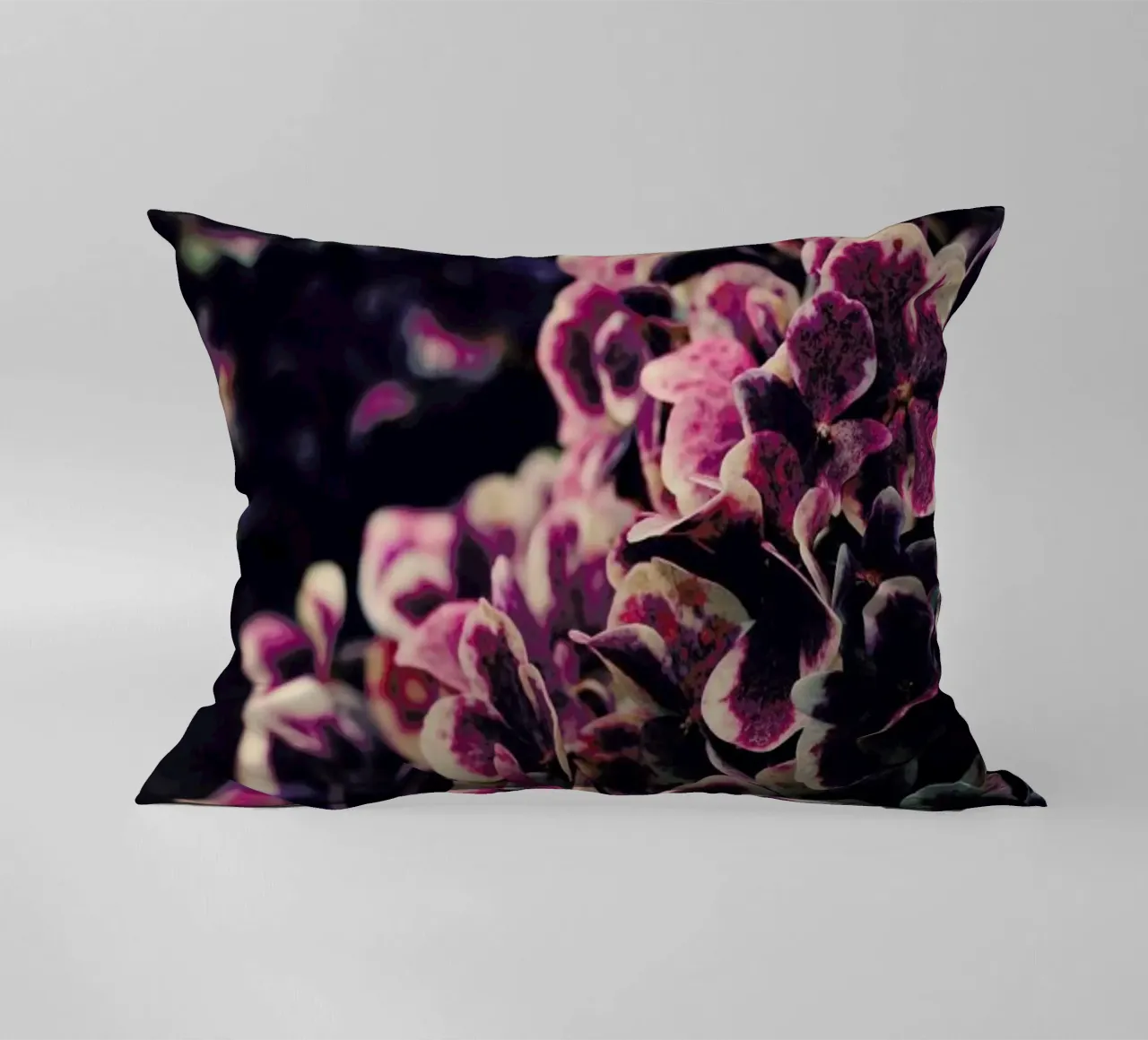 Deep Purple cuscino da Ingrid Beddoes
