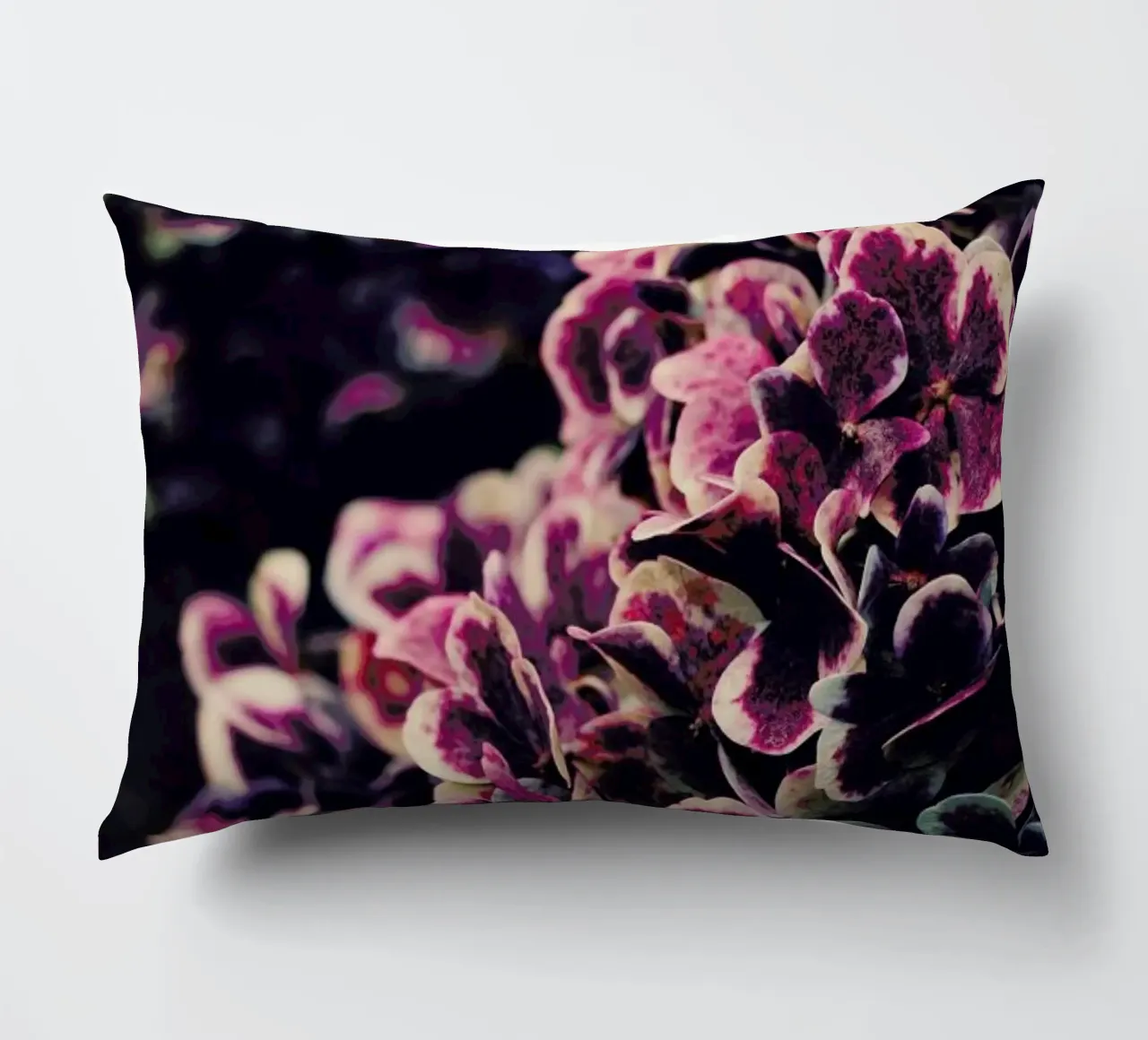 Deep Purple cuscino da Ingrid Beddoes
