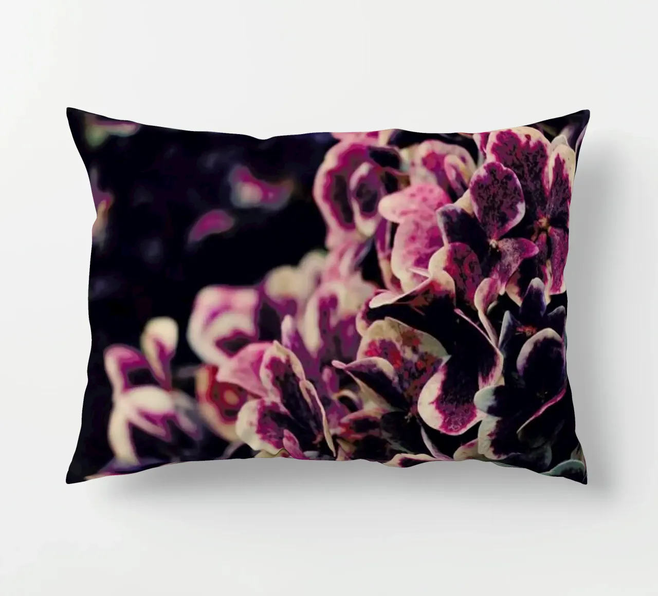Deep Purple cuscino da Ingrid Beddoes