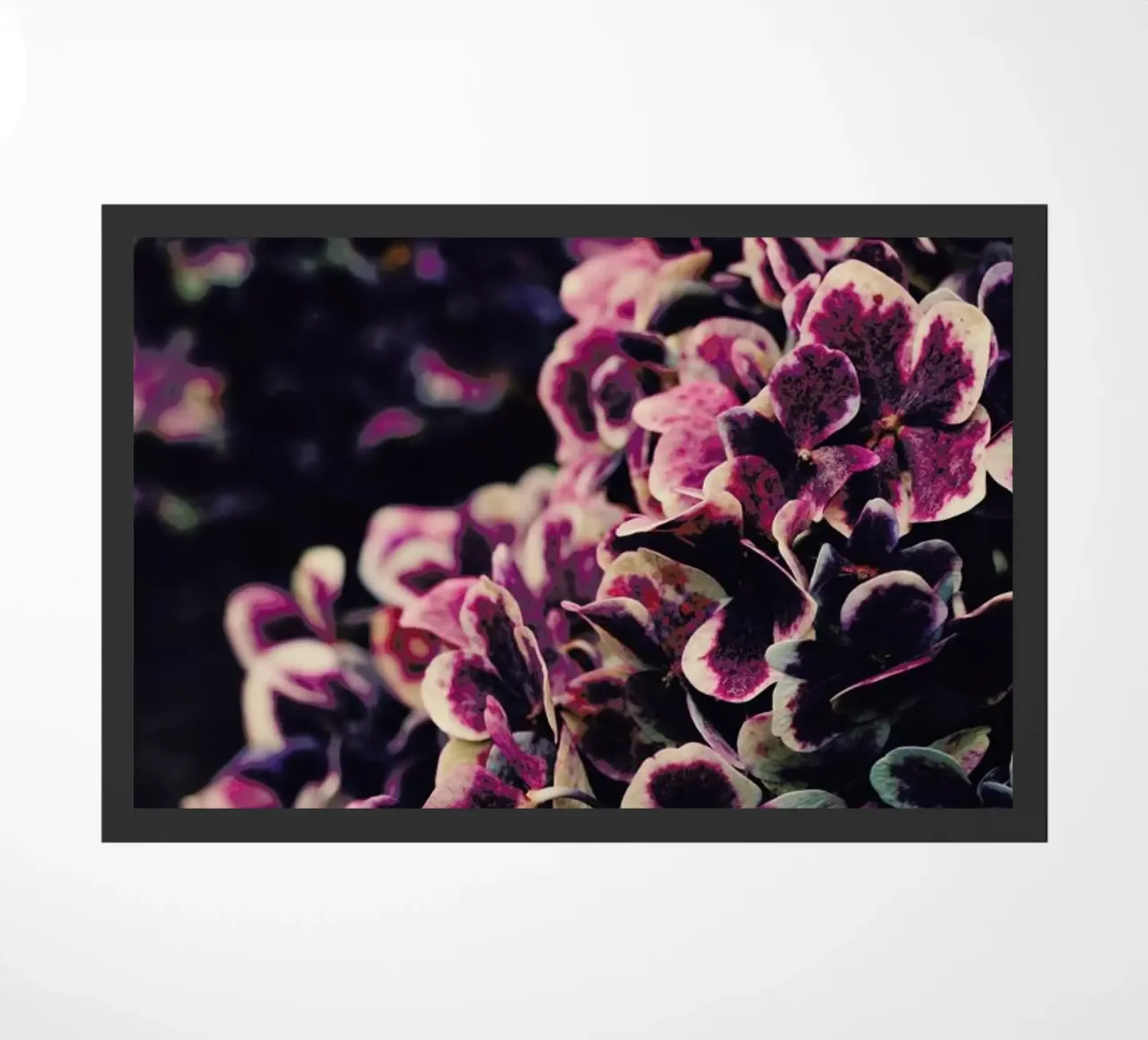 Deep Purple zerbino da Ingrid Beddoes