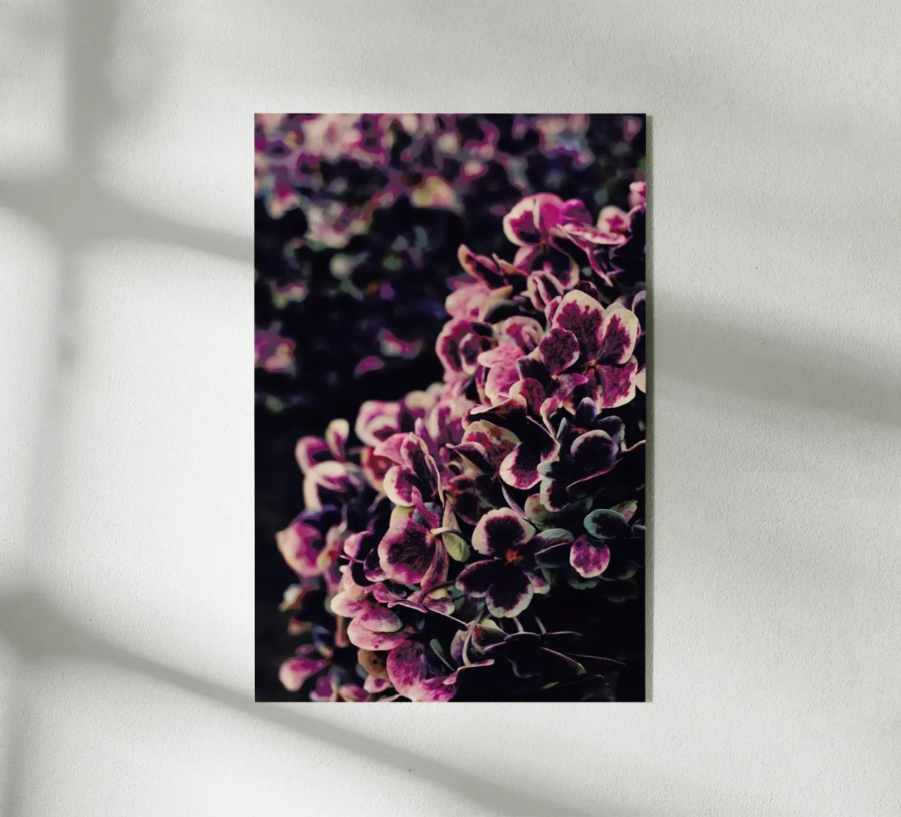 Deep Purple plexiglass da Ingrid Beddoes