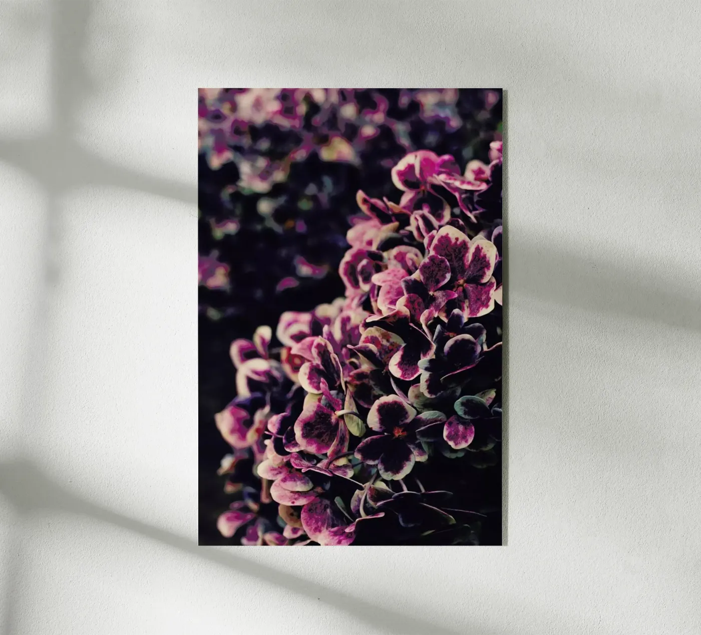 Deep Purple plexiglass da Ingrid Beddoes
