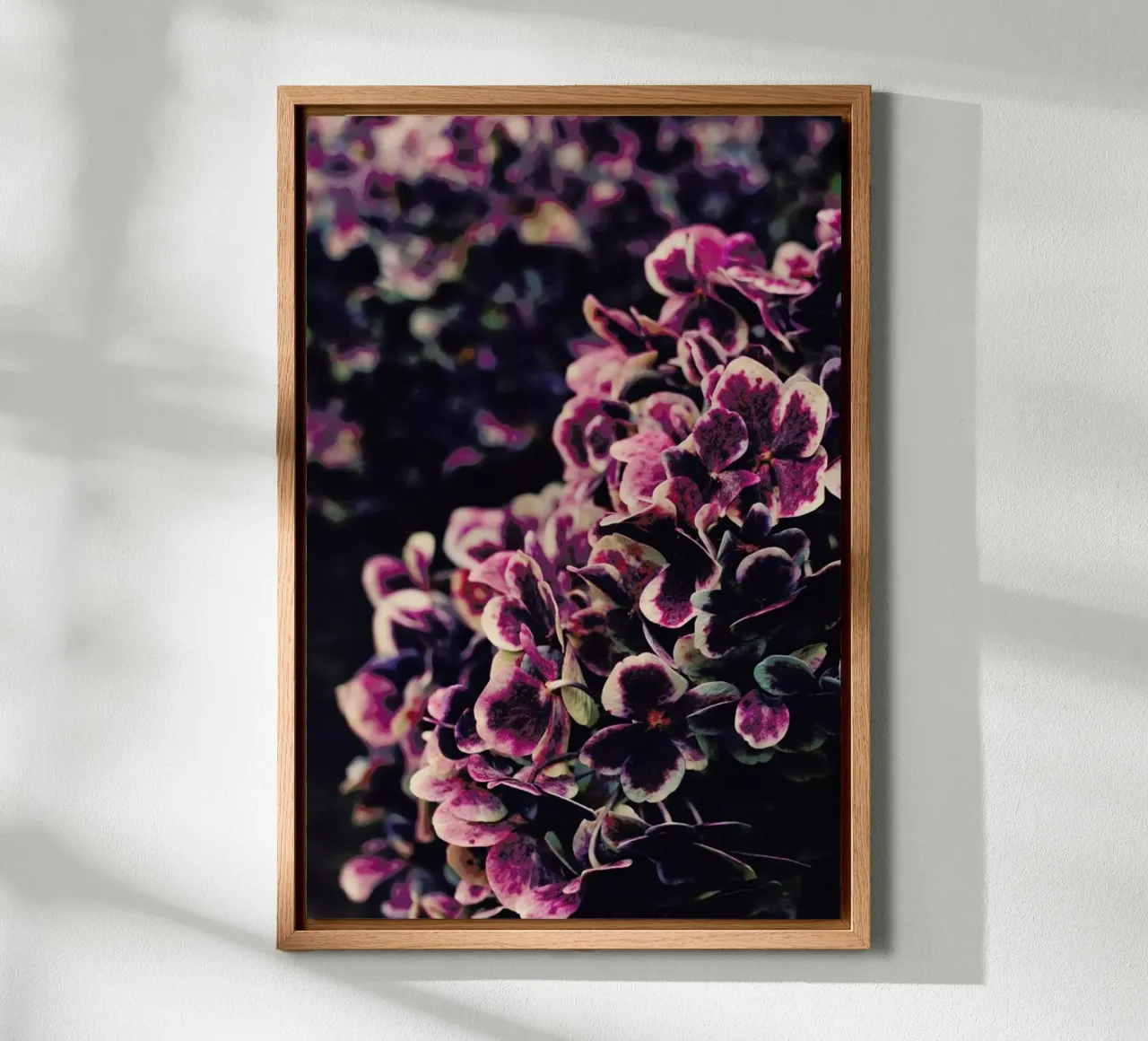 Deep Purple canvas by Ingrid Beddoes