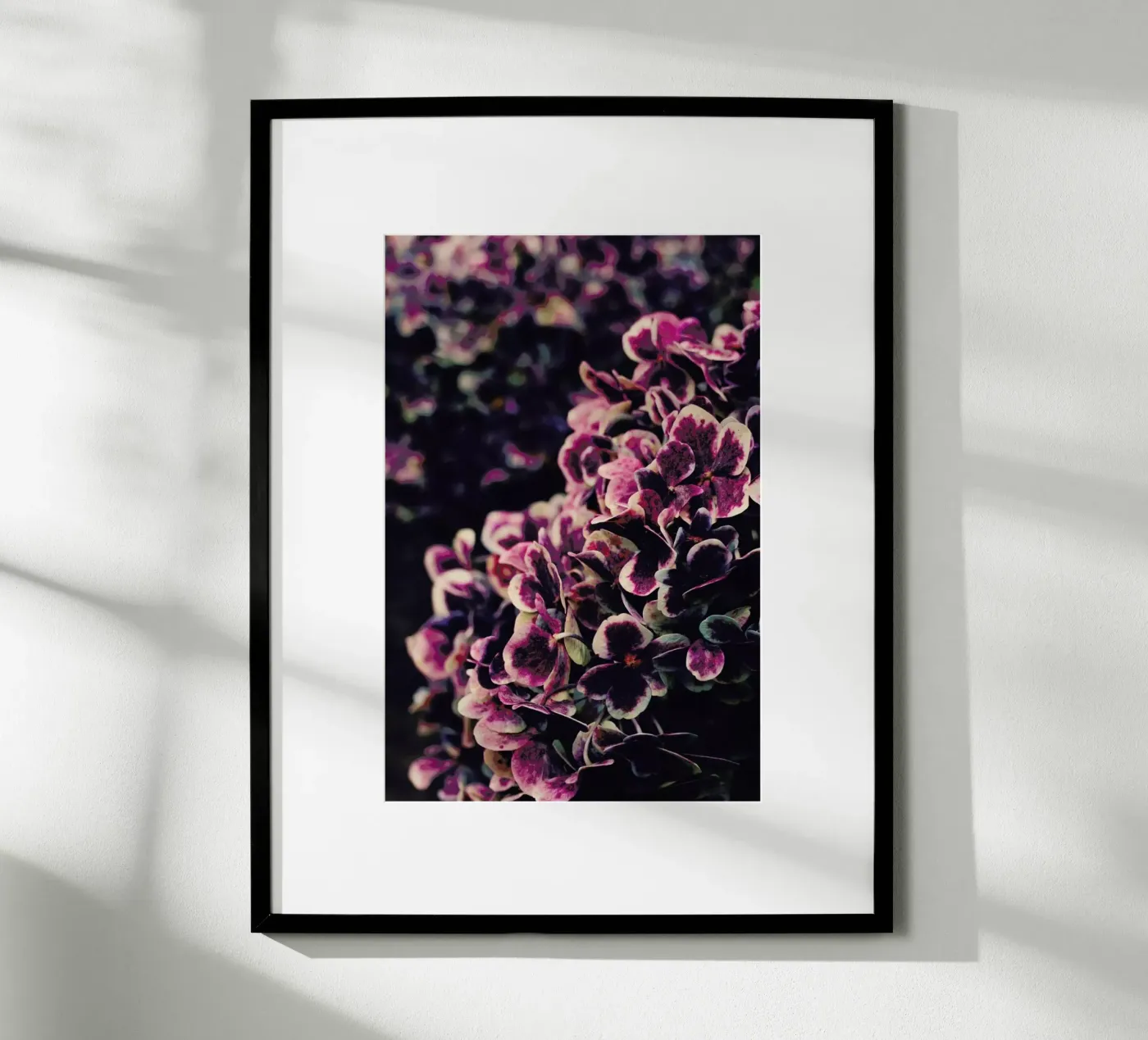 Deep Purple Poster von Ingrid Beddoes