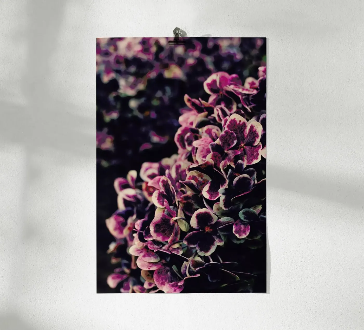 Deep Purple Poster von Ingrid Beddoes