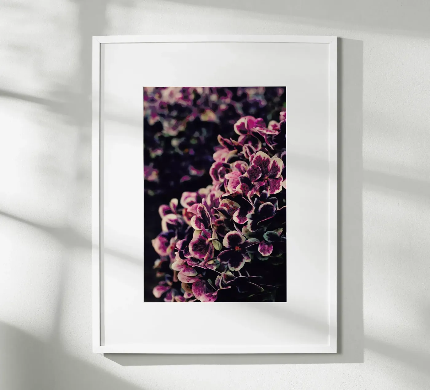 Deep Purple Poster von Ingrid Beddoes