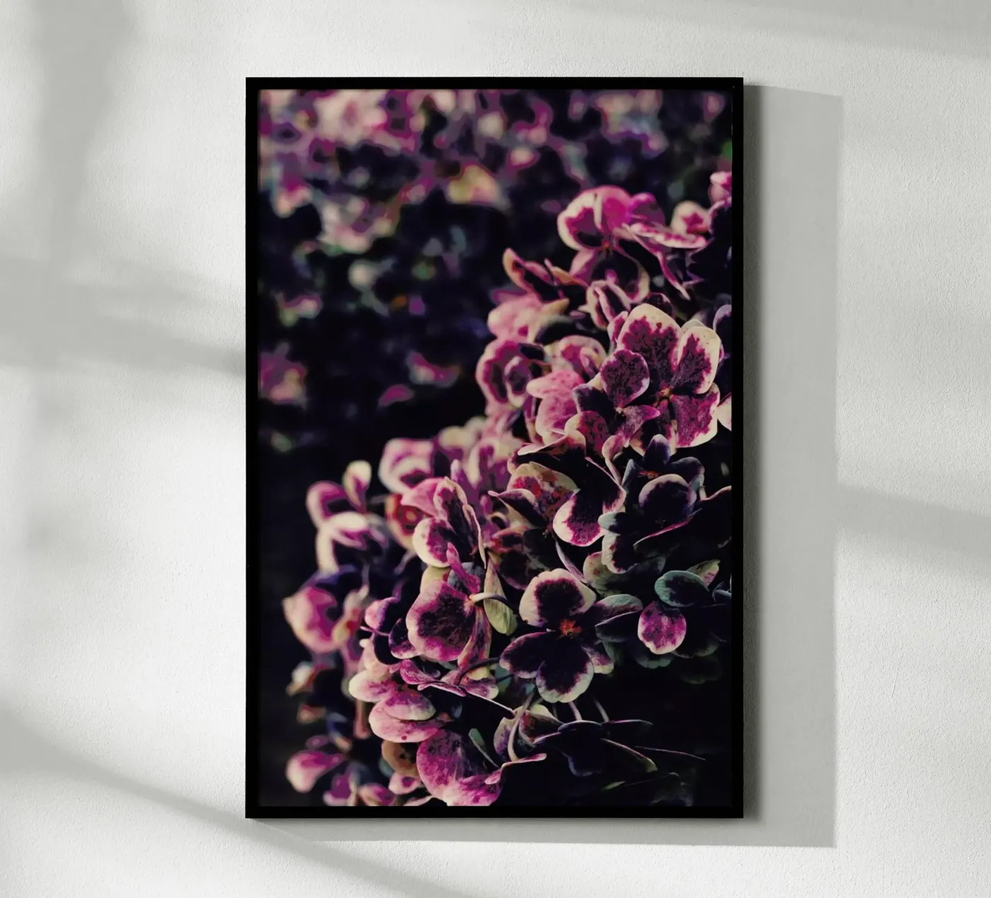 Deep Purple Poster von Ingrid Beddoes
